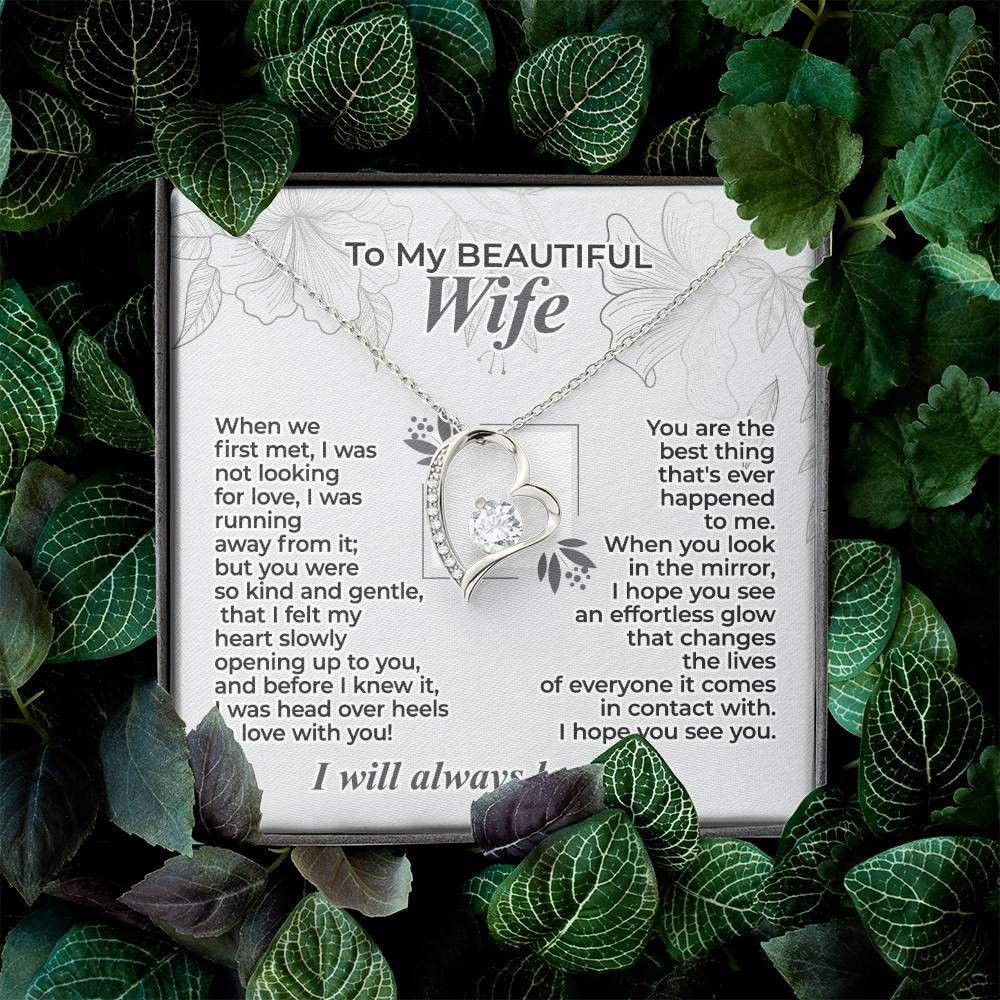 To My Wife – When We First Met - Necklace Gift Set – WFL29.2