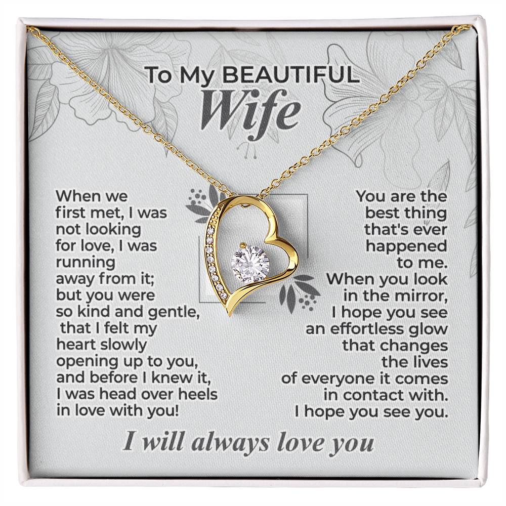 To My Wife – When We First Met - Necklace Gift Set – WFL29.2