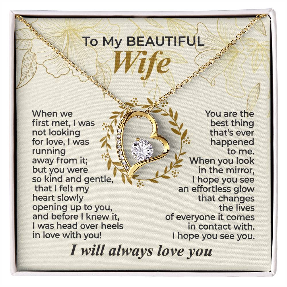 To My Wife – When We First Met - Necklace Gift Set – WFL29