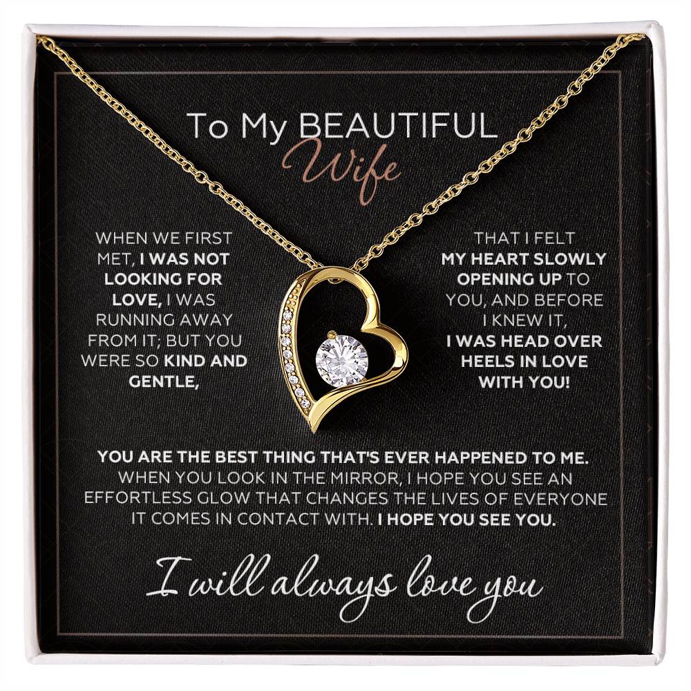 To Wife – When We First Met - Necklace Gift Set – WFL45