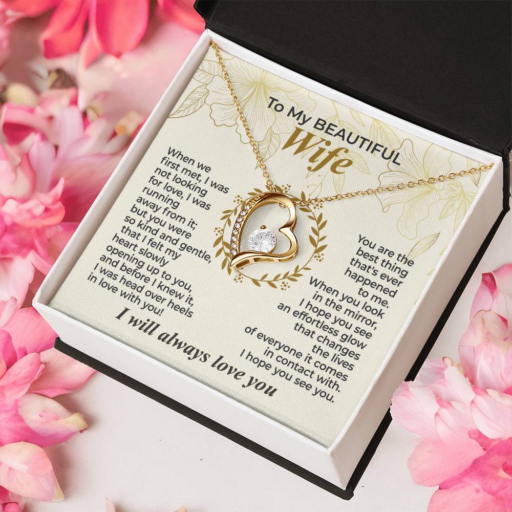 To My Wife – When We First Met - Necklace Gift Set – WFL29