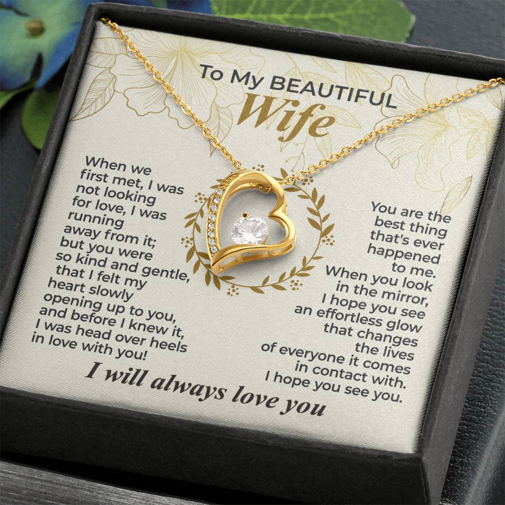 To My Wife – When We First Met - Necklace Gift Set – WFL29